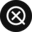 X Detector
